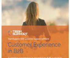 Customer Experience in B2B